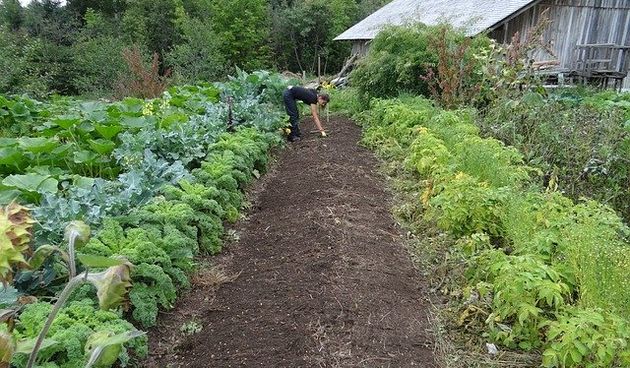 Image 4472653 (auto)