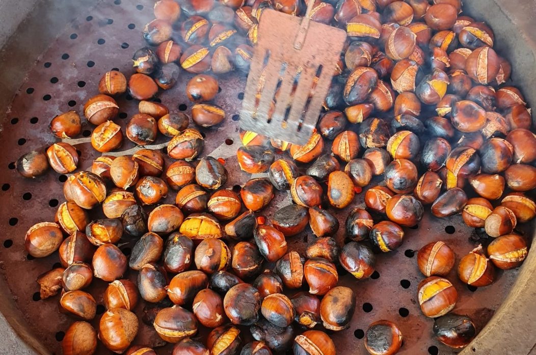 246183841_7002836653075604_5580508170606189307_n_Visit Karlovac