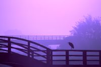 3. nagrada_Živčić Vesna_Čuvar mosta