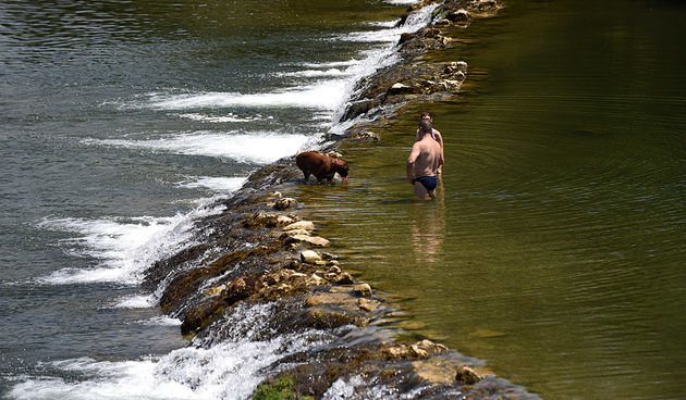 kupalistemalicikorana11