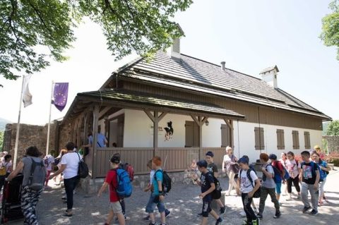 3d1944bc1e7718ff875f12c75553c719-view_article_new