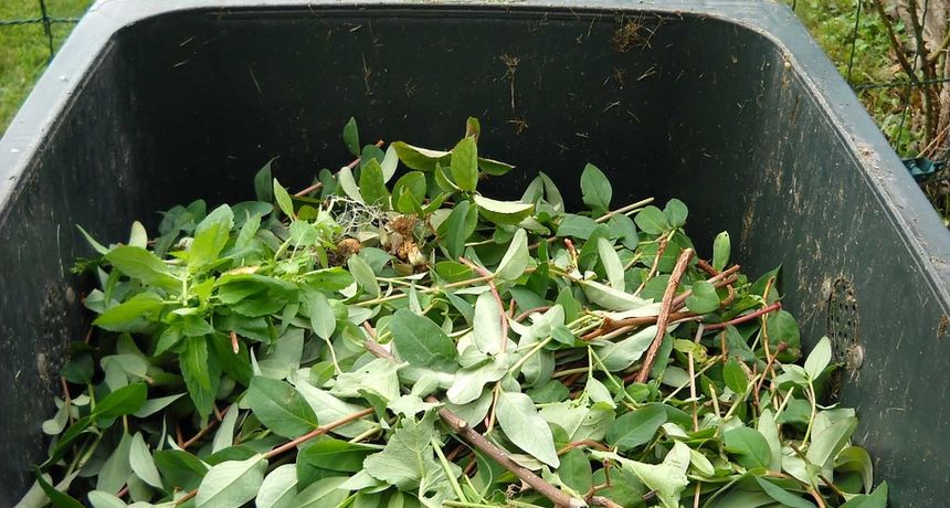 greenwaste486011960720kompostiranje