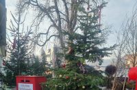 481215388_1075708851025652_4386728816648718094_n