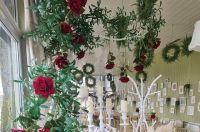 481771667_1078552434074627_5895306599924184118_n