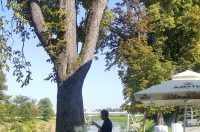 481996219_1083364456926758_5505237436112360492_n