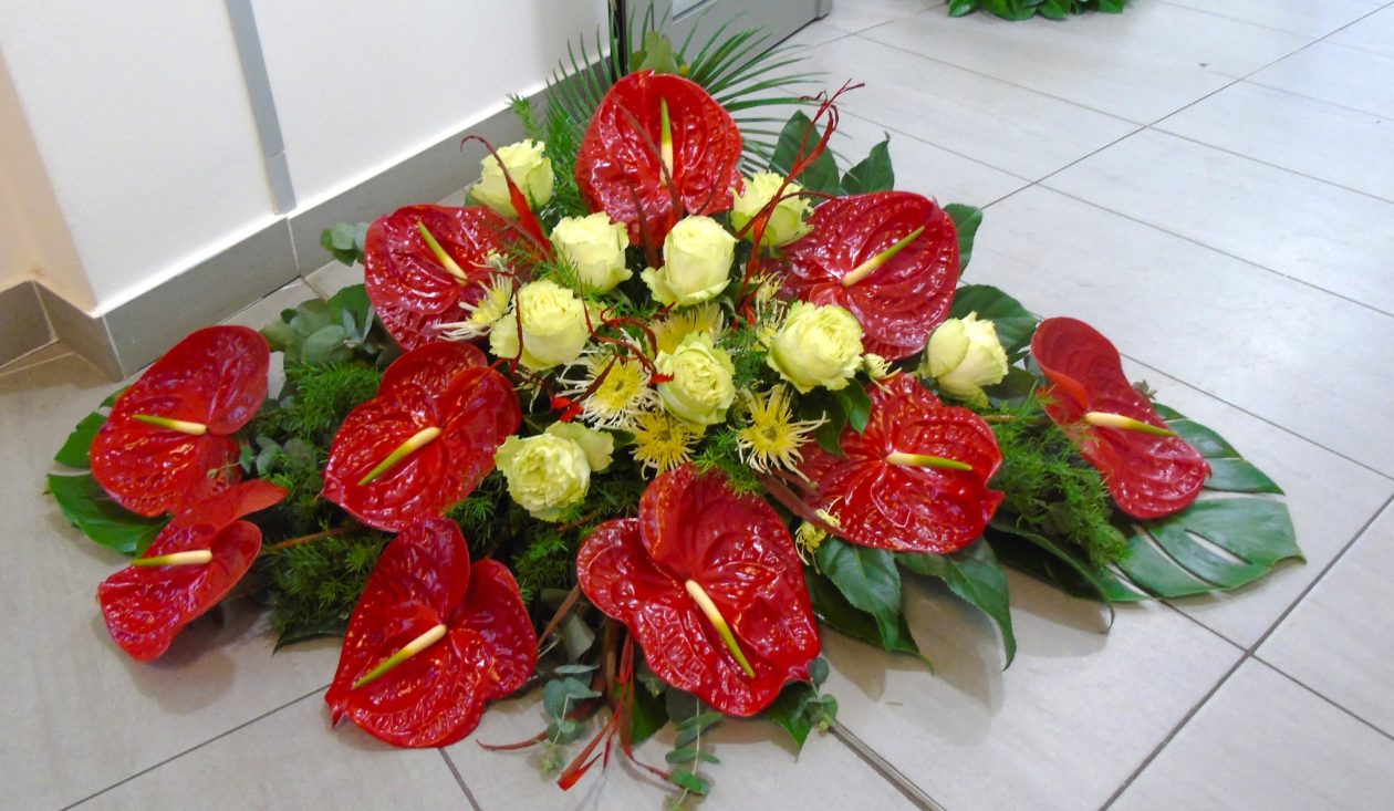 484987627_1144313164152553_4761900295197956129_n