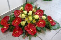 484987627_1144313164152553_4761900295197956129_n