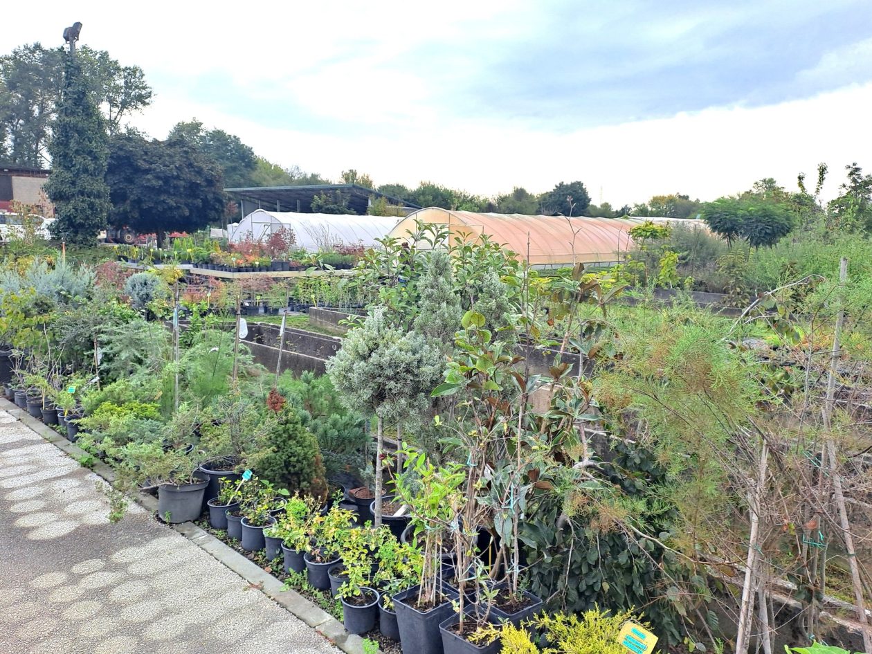 485309913_1143989300851606_2229901377770894679_n (1)