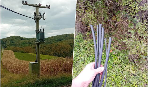 Image 6097019 (auto)