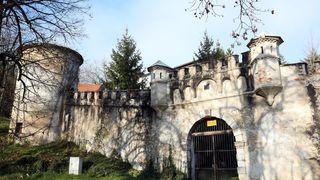 Image 5290884 (auto)