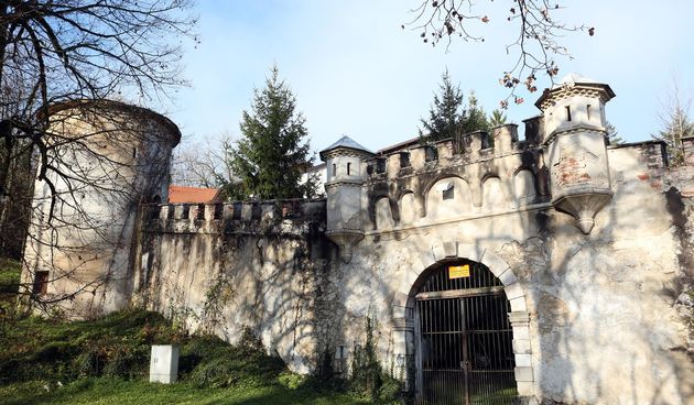 Image 5290884 (auto)