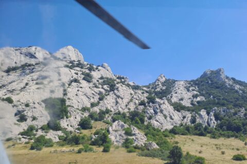 533130453_1258608856057923_8749756715513121850_n 533130453_1258608856057923_8749756715513121850_n