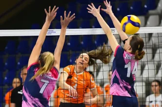 5339dead3d594ddf382d19de61bc5ef6_view_article_new