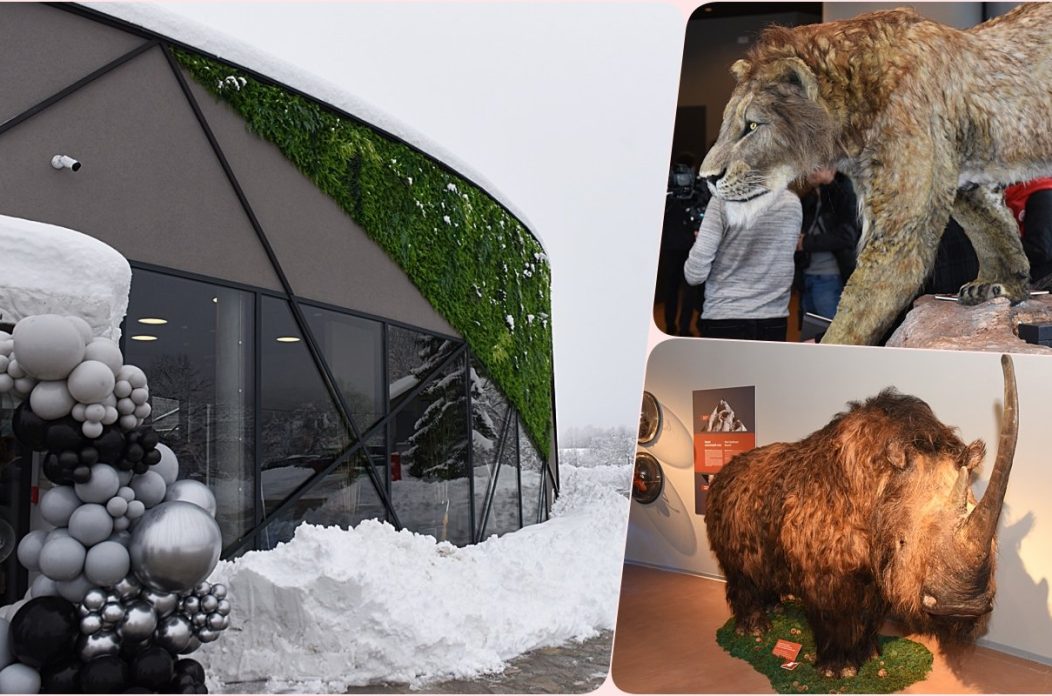 54023166b228fdbb5b6cad05d8b246e2