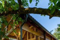 550285648_122194755242355259_6972783578327455183_n