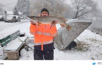 586123914_1267763935377767_1089146509505737572_n