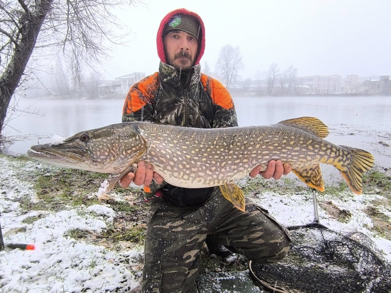 587102245_1267767358710758_4391790861498297035_n