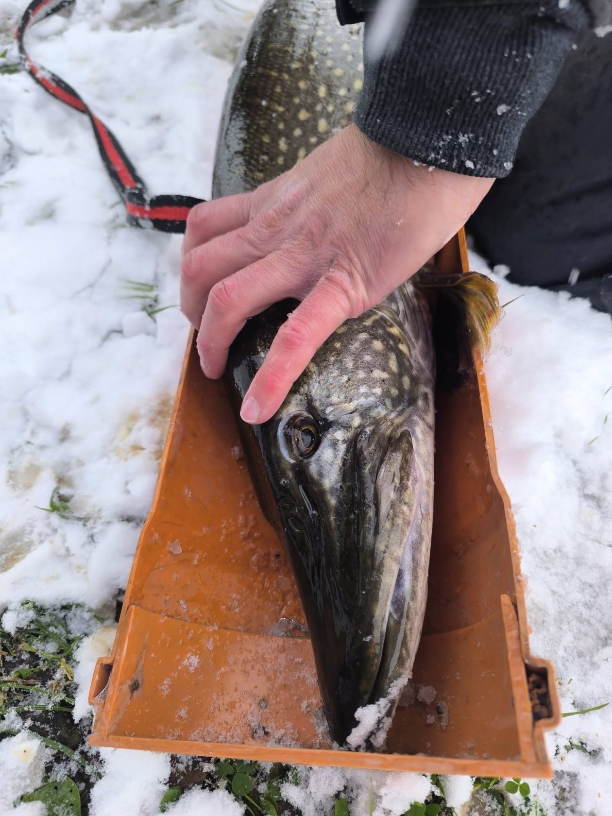 587836520_1267767848710709_7134259506656257916_n