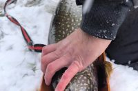 587836520_1267767848710709_7134259506656257916_n