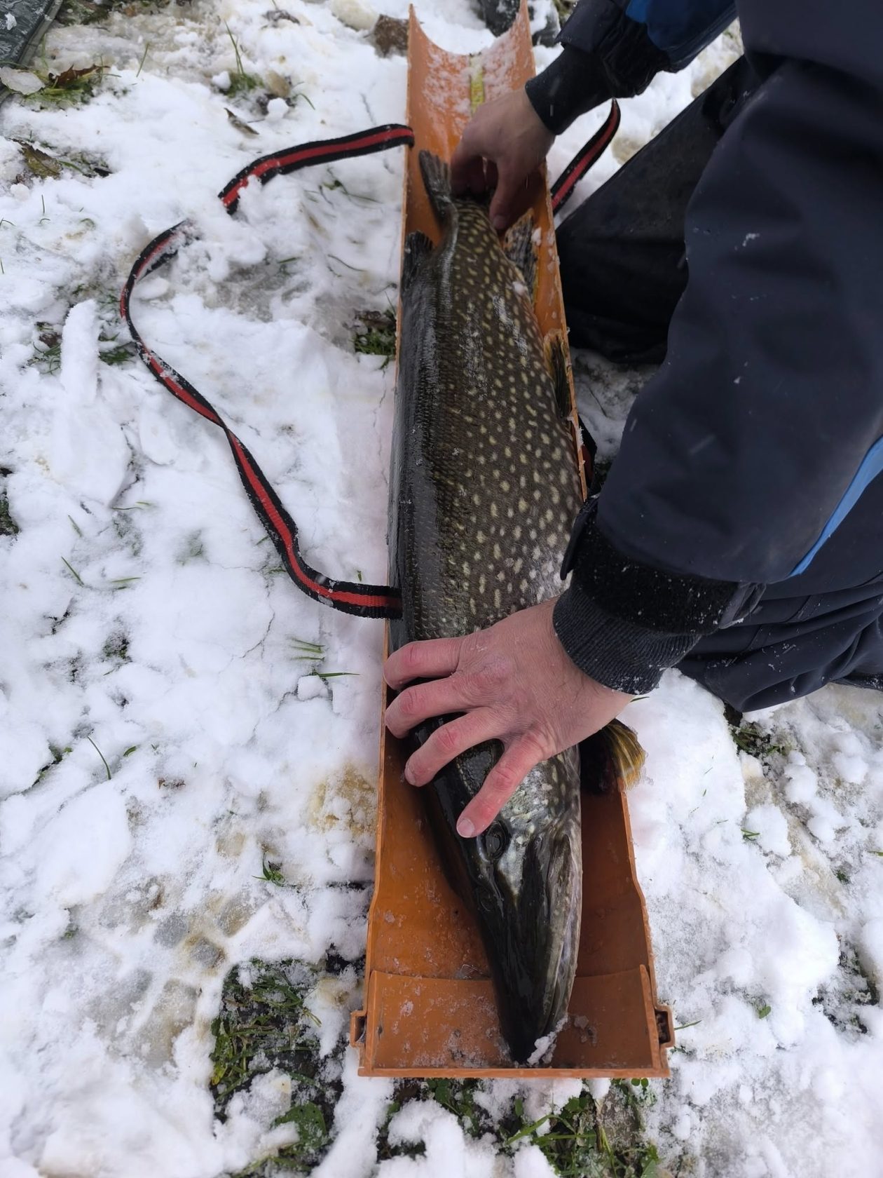 587843330_1267767922044035_4106566120019807563_n