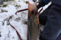 587843330_1267767922044035_4106566120019807563_n