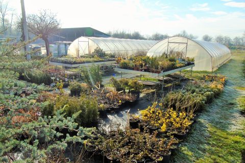 588019727_1339953277921873_3978164393231564923_n (1)