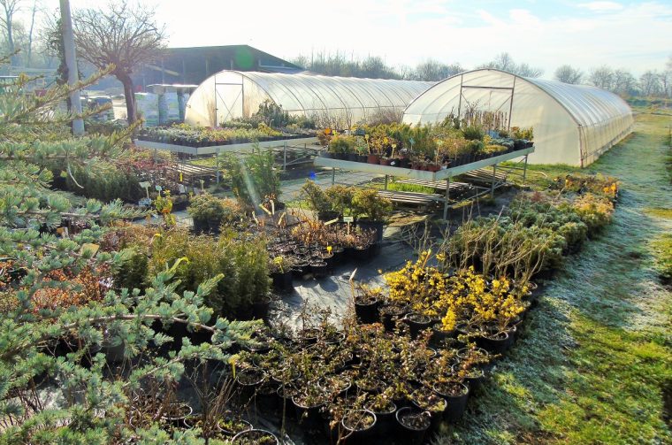 588019727_1339953277921873_3978164393231564923_n (1)