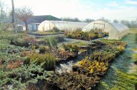 588019727_1339953277921873_3978164393231564923_n (1)