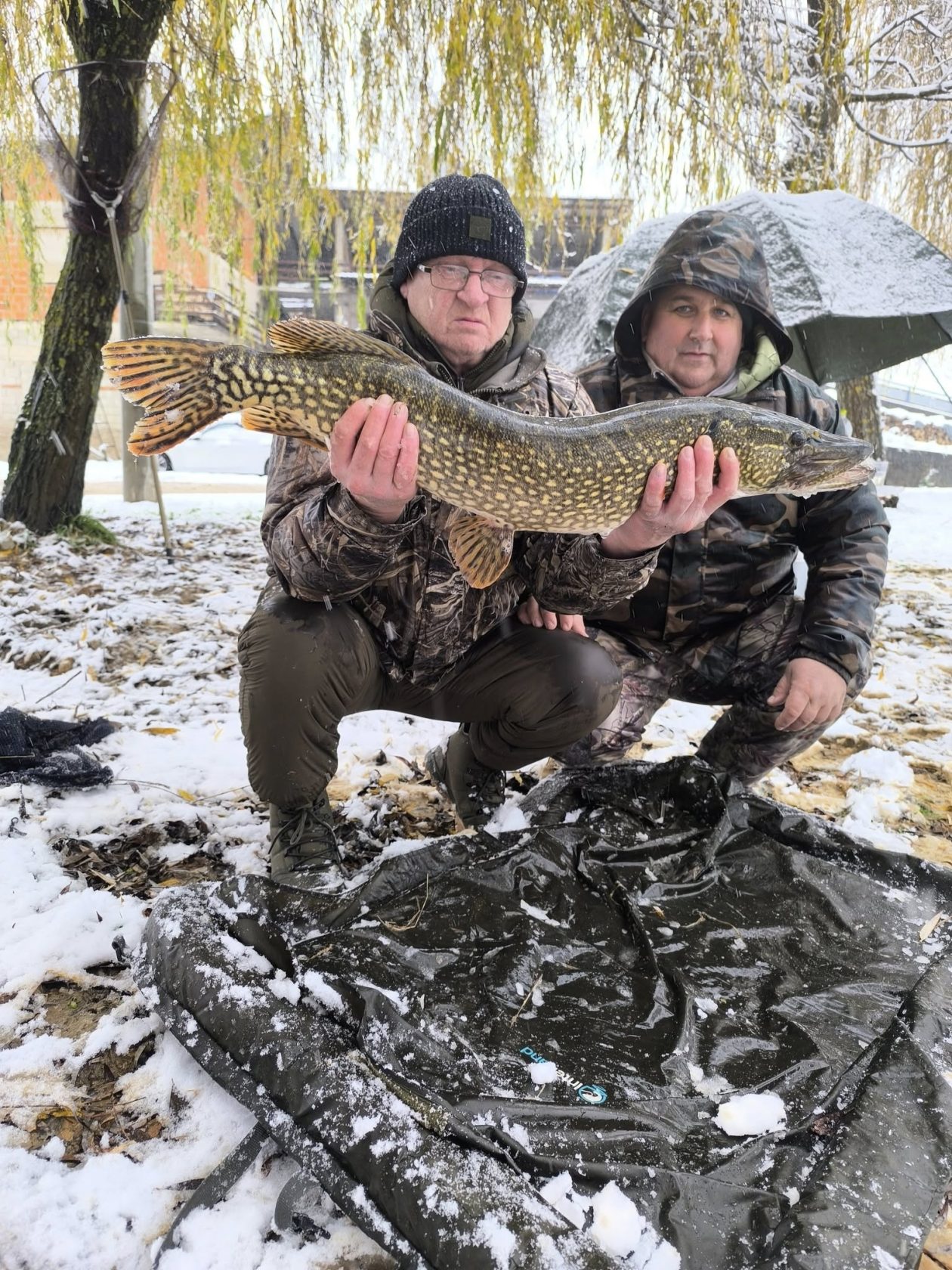 588025550_1267768532043974_4357111509525465783_n