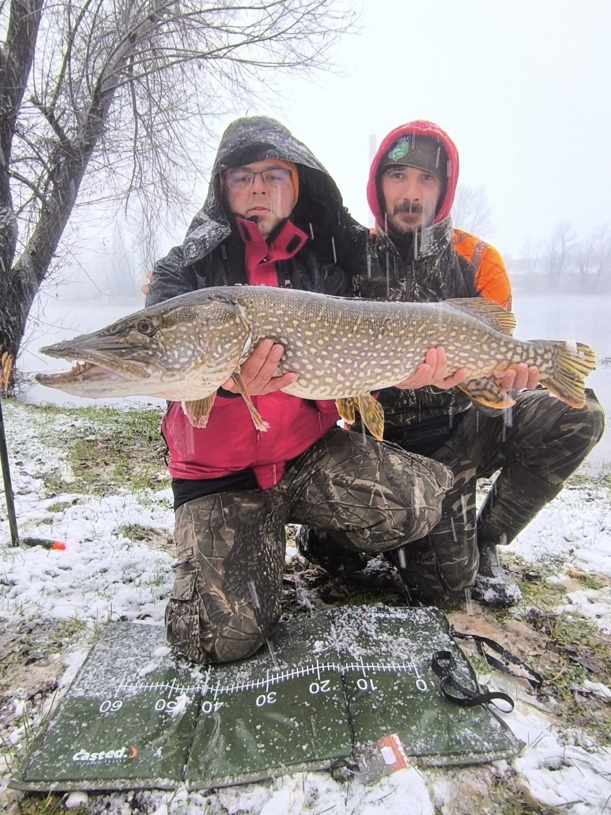 588499950_1267767508710743_2591847335468997595_n