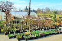 588547021_1339953374588530_893221351274240103_n (1)