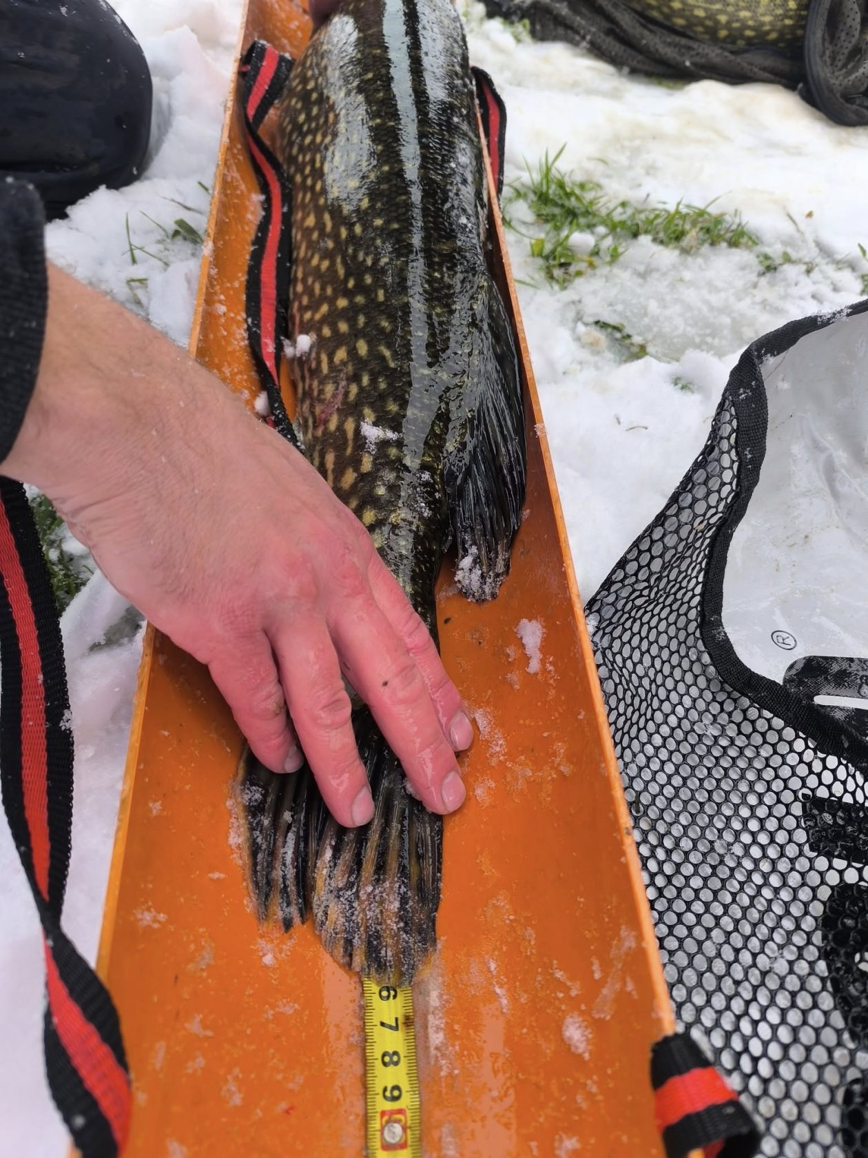 589014465_1267768298710664_3235631531866895952_n