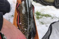 589014465_1267768298710664_3235631531866895952_n