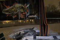 589043388_1267767152044112_4744182196149992869_n