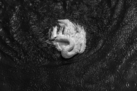 594844152_25721723610773846_6984225031500883364_n 594844152_25721723610773846_6984225031500883364_n