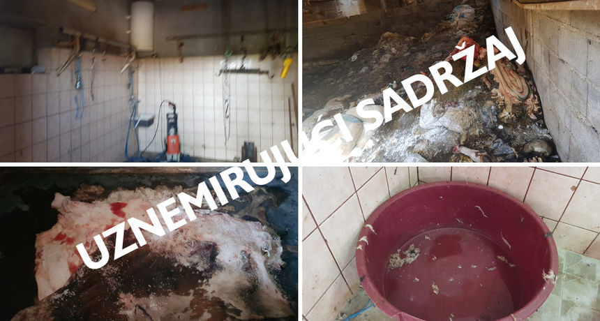 9a0569216081a4980af00e8e51ae1732viewarticlenew 9a0569216081a4980af00e8e51ae1732viewarticlenew