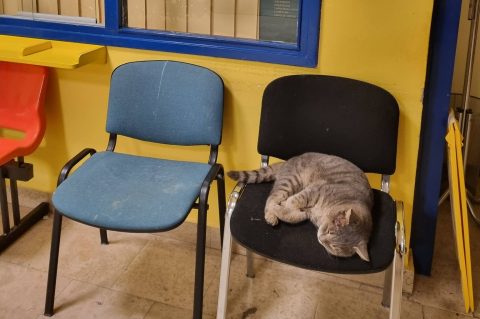 603826276_913965170955694_7284195531021589188_n