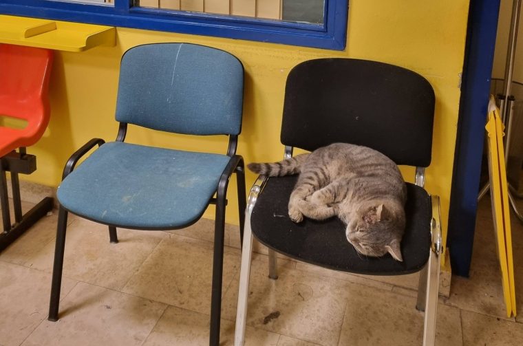 603826276_913965170955694_7284195531021589188_n