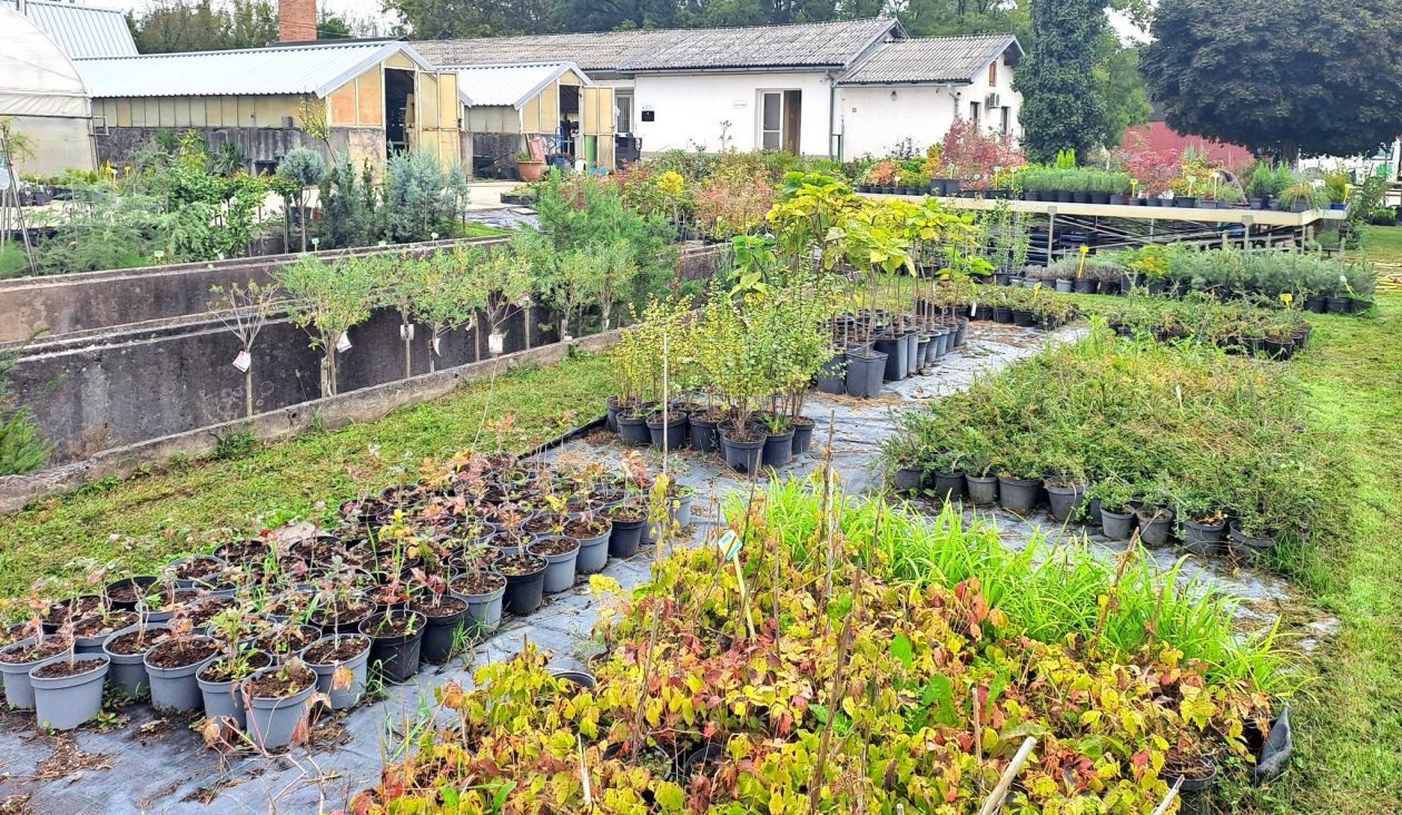 648550538_1421592319757968_7185665582648953848_n