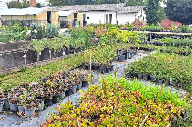 648550538_1421592319757968_7185665582648953848_n