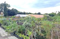 649711383_1421592436424623_8508663752689930782_n