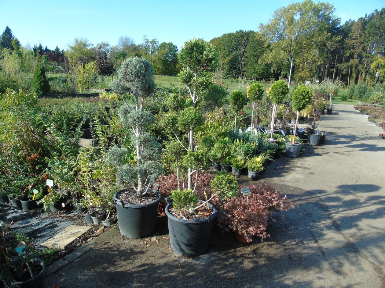 681081662_1459662262617640_2048365278481925235_n