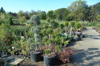 681081662_1459662262617640_2048365278481925235_n