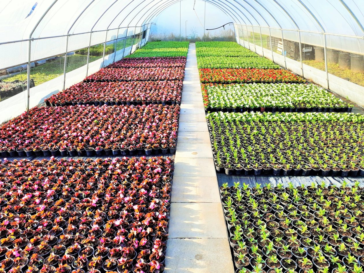 681292802_1459661352617731_8769963784329837449_n