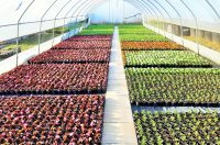 681292802_1459661352617731_8769963784329837449_n