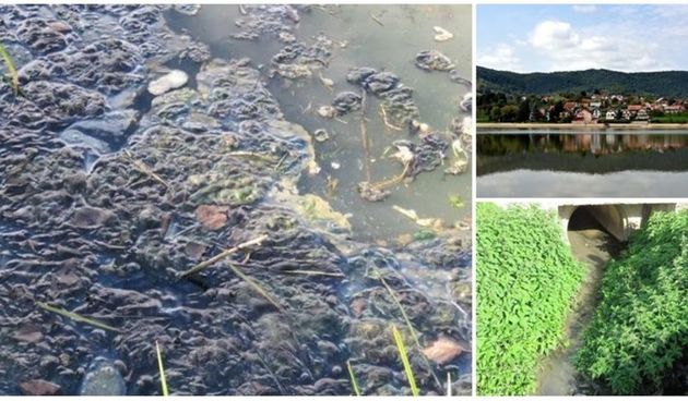 Image 5365352 (auto)