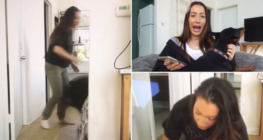 brookehoutsyoutubericazlostavljanjepaszivotinja43caefcdbbd26246f608266480180527viewarticle