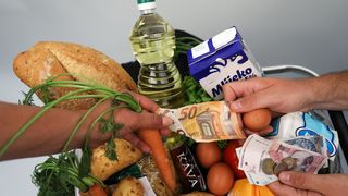 potrošačka košarica, hrana, nabava, šoping, kupovina, kuna, euro