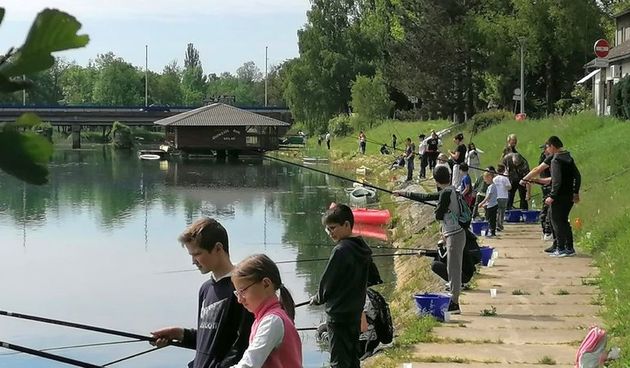 Image 5359116 (auto)