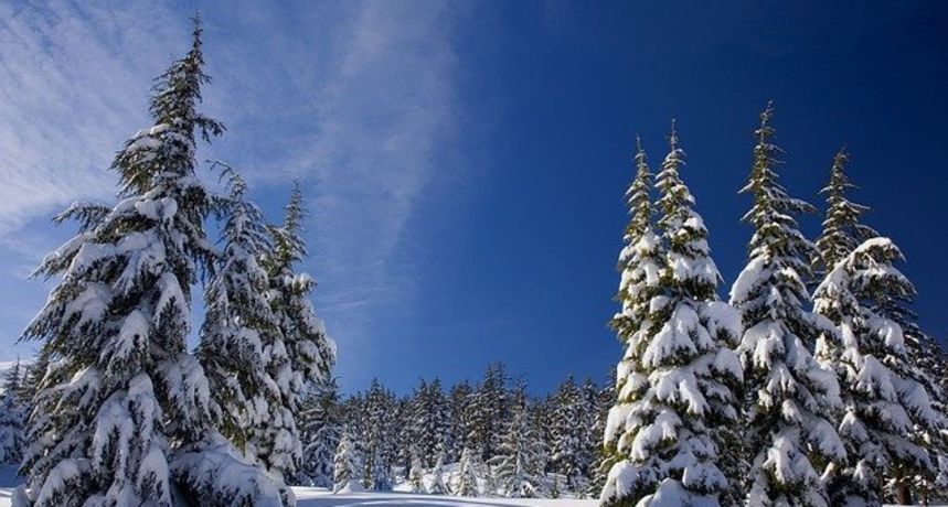 snow1902052640 snow1902052640